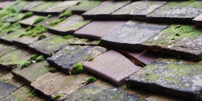 Blaenawey roof repair costs